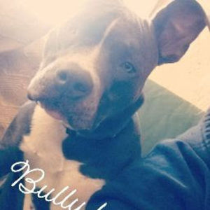 Meet your Posher, Kaili